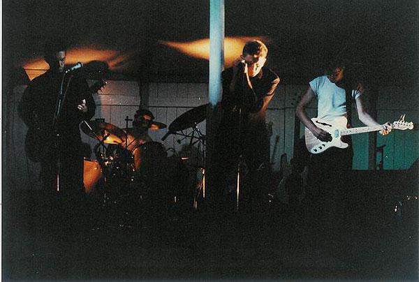 web-alis-17.jpg