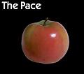 Pace_14