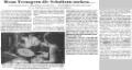 spitfires_strangers_presse