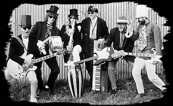 Bild von Green Onions